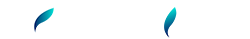Ethfish